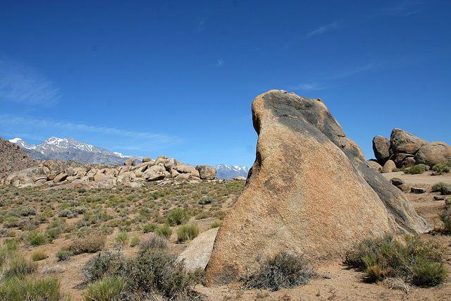 Alabama Hills (0339)