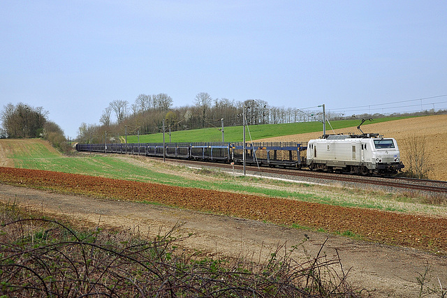 Prima blanche pour ECR