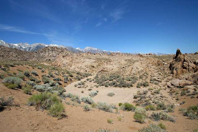 Alabama Hills (0374)