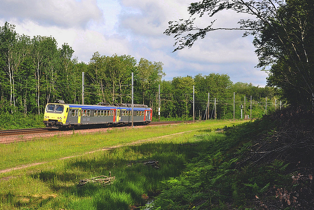 Z2 Bourgogne dans la plaine bressane