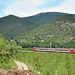 Z2 languedocienne en Conflent