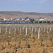 Z 24500 Rhône-Alpes en Bourgogne