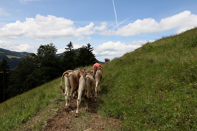 Wandergruppe