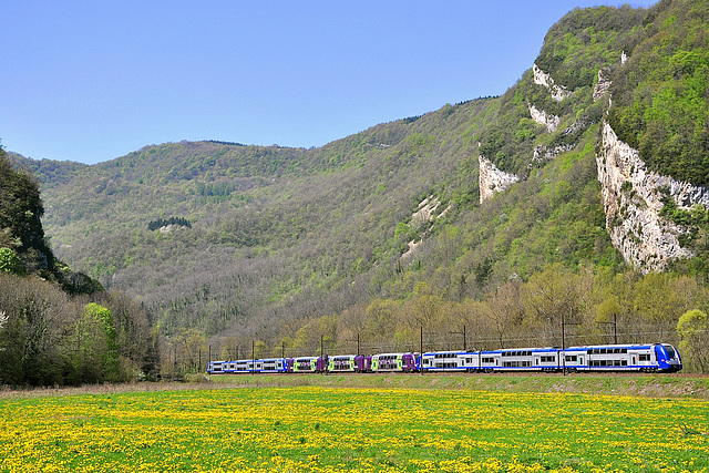 Z 24500 dans l'Albarine