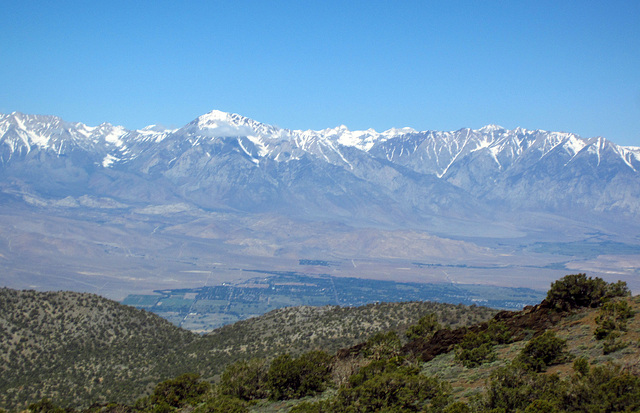 Big Pine and Eastern Sierra (0210)