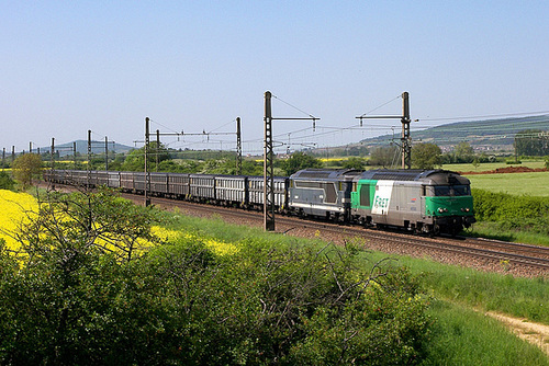 Duo vert-bleu en Bourgogne