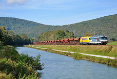 Duo bleu-jaune dans la vallée du Doubs