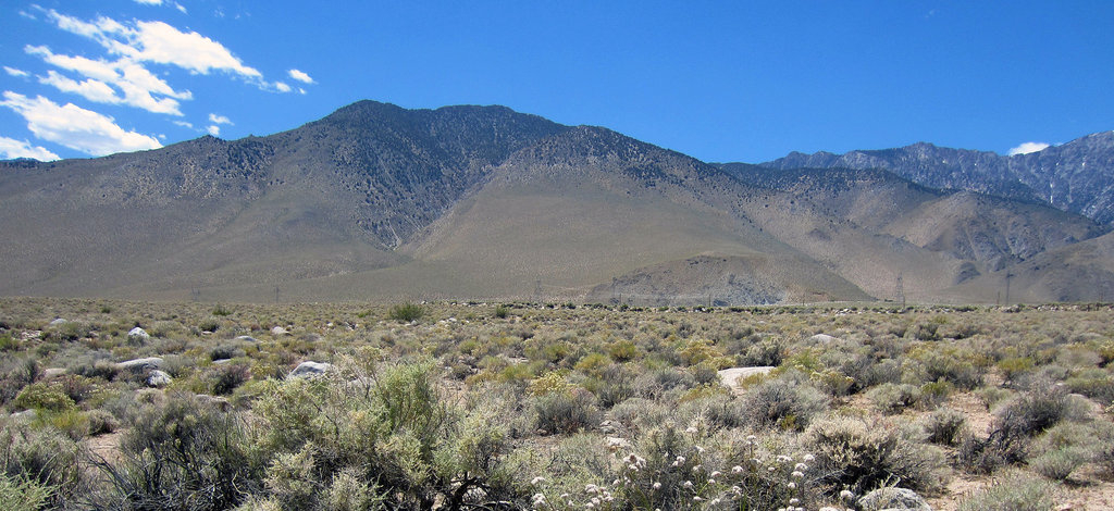 Eastern Sierra (0121)