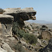 Limestone Landscape