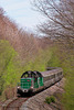 Train spécial dans le bois