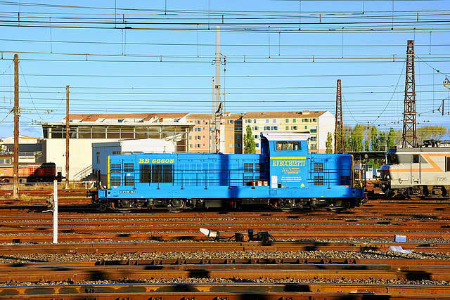 Vecchietti à Narbonne