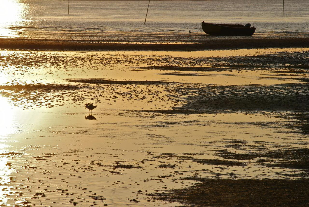 RumTreiber auf AmRum