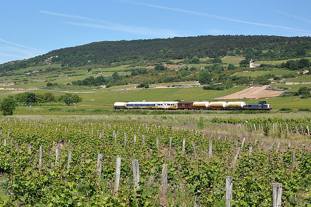 Désherbeur en Bourgogne