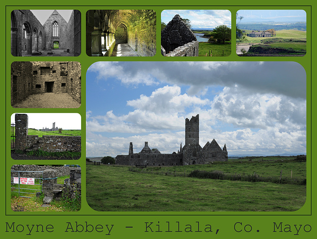 Moyne Abbey I