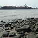 Containerschiff   MSC  "CATANIA"