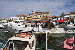 20110610 5833RWwf Fischtrawler [Le Grau du Roi]