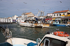 20110610 5832RWfw Fischtrawler [Le Grau du Roi]