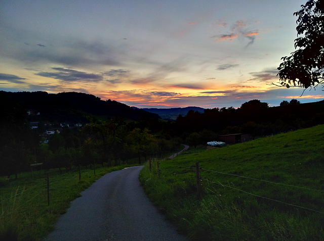 2011-08-17 20