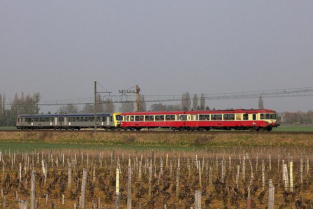 Caravelles à Vougeot