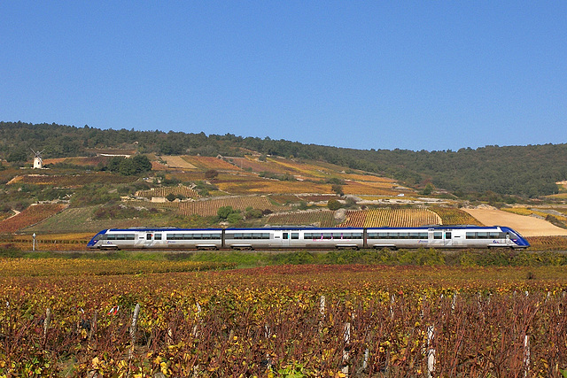 X 72500 dans les vignes