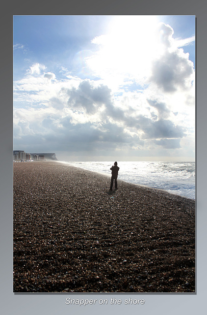 Snapper on the shore - Seaford - 7.10.2014