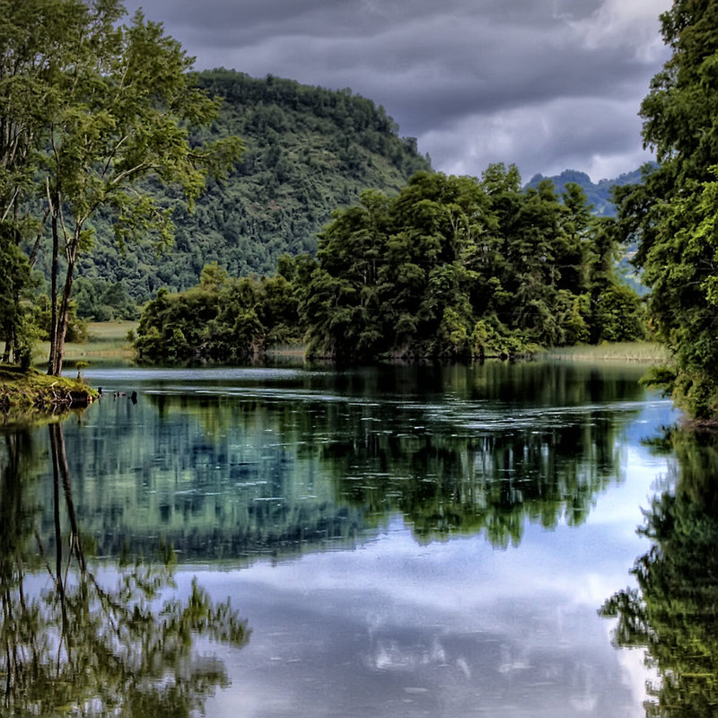 greengrey_mirror