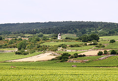 Les vignobles de Bourgogne