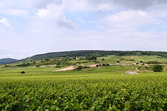 Les vignobles de Bourgogne