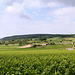 Les vignobles de Bourgogne