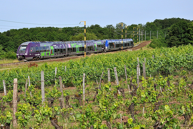 BGC Rhône-Alpes à Arbois