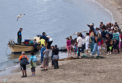 20110603 5036RTfw Fischverkauf [Le Grau du Roi]