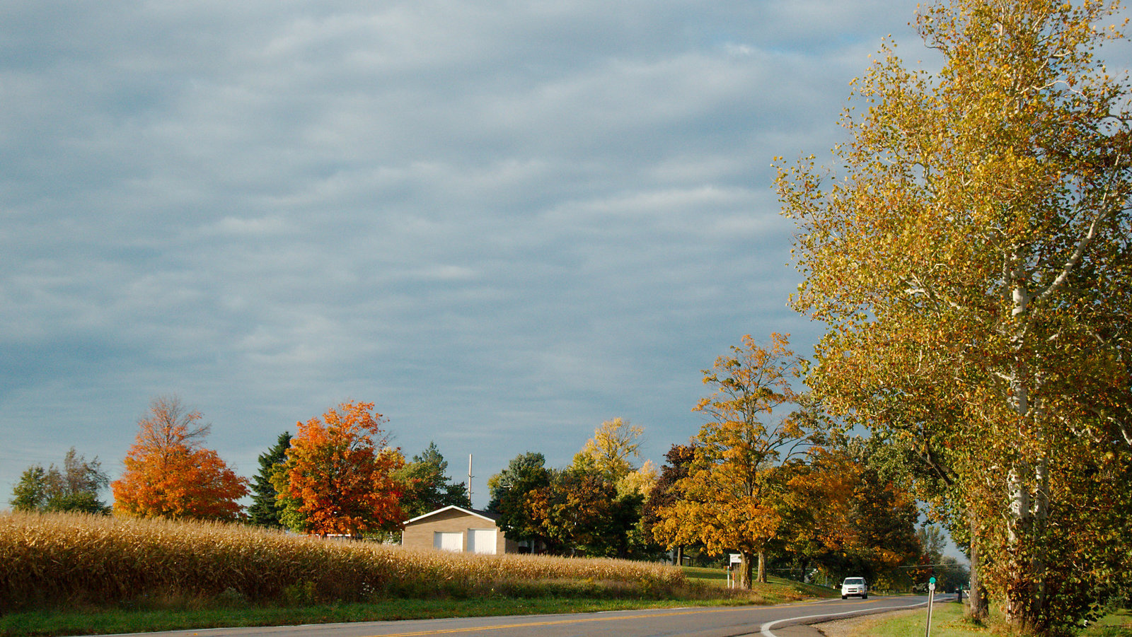 Color Along Cochran
