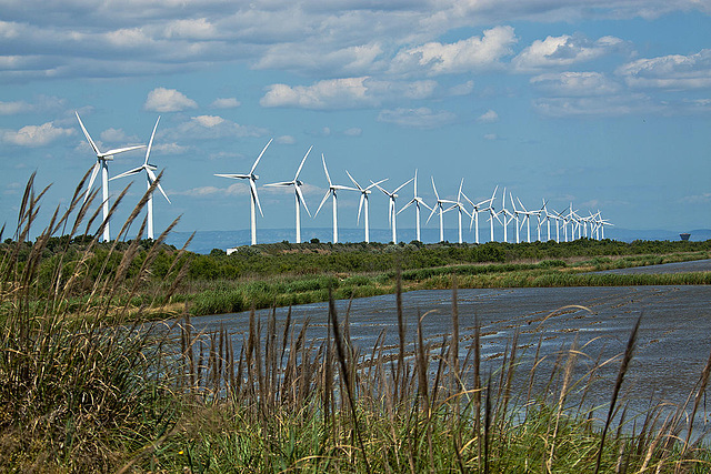 20110609 5724RAw Windräderallee [Port St. Louis du Rhone]