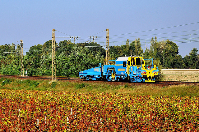 Bourreuse à Vougeot