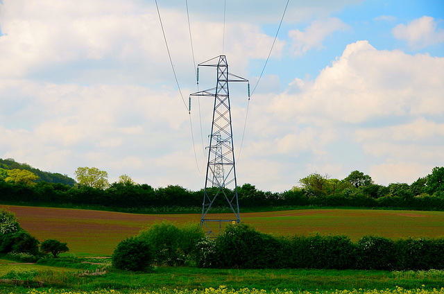 Fields near Stafford