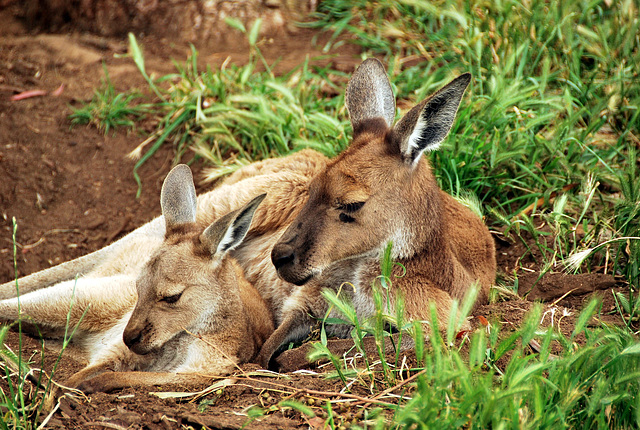 Mother and child