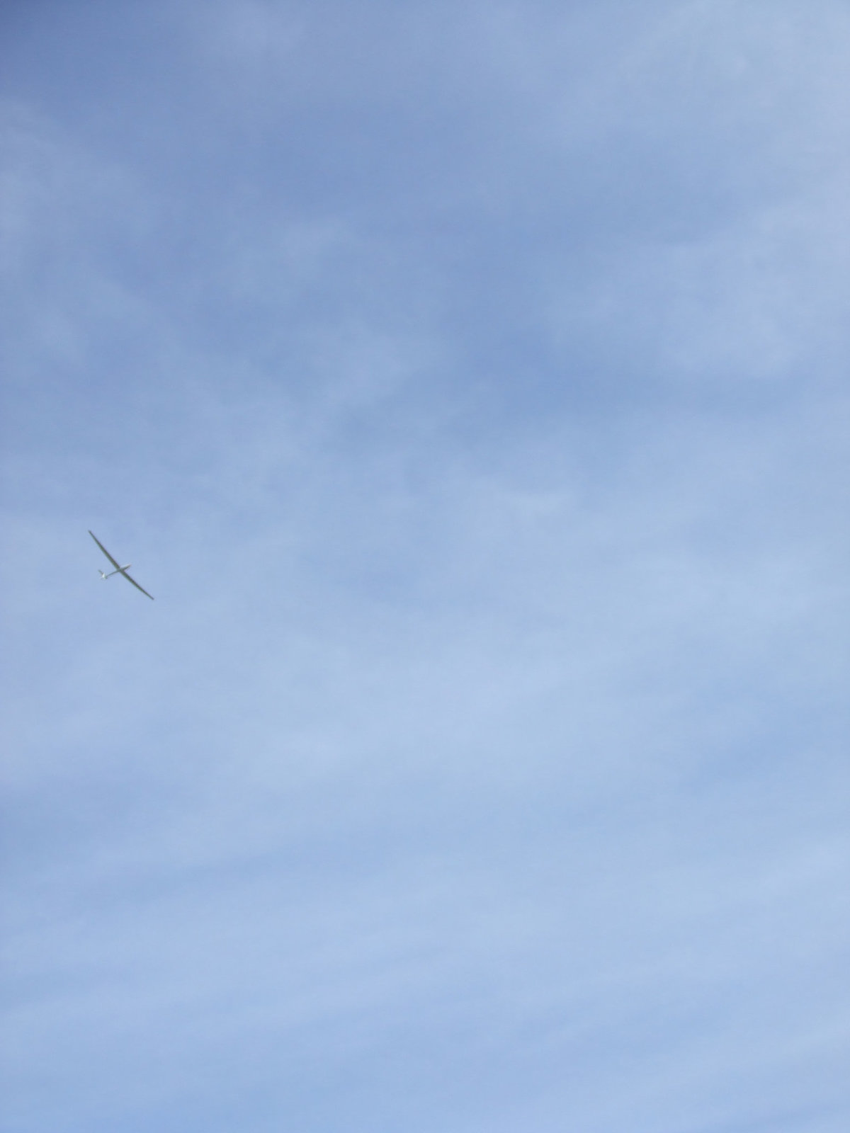 DSCF3631