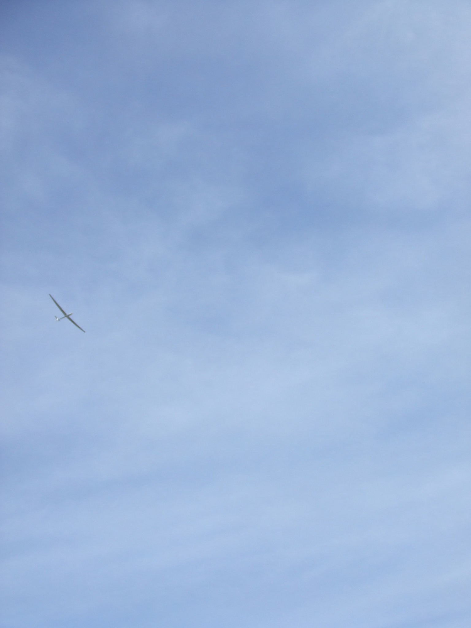 DSCF3631