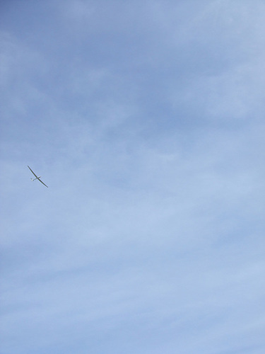 DSCF3631