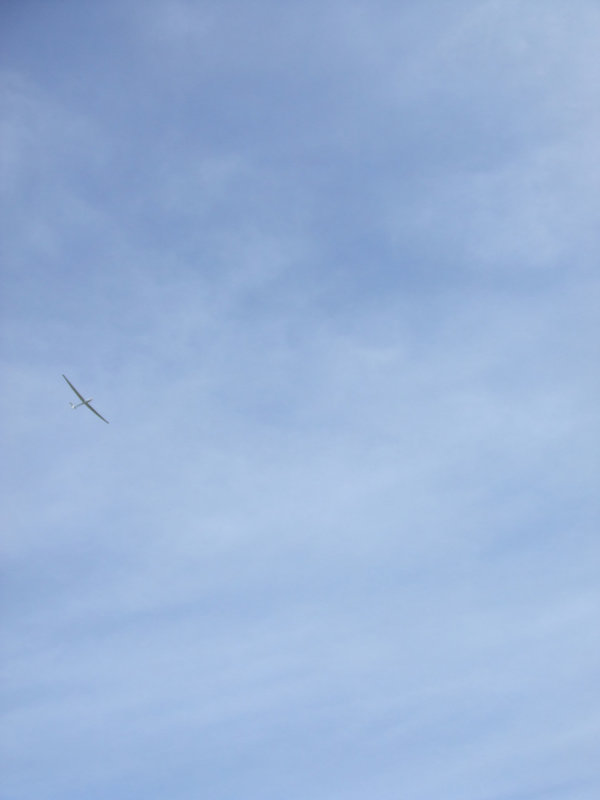 DSCF3631