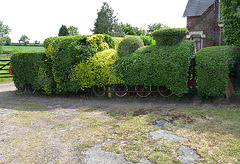 Topiary Transport
