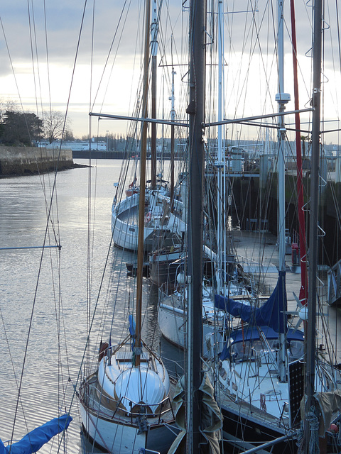 le port au matin