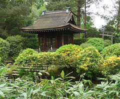 Japanese Garden- Shinto Temple