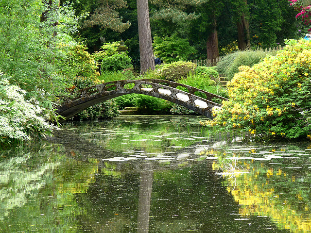 Japanese Garden- Bridge