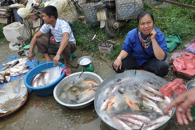 MARCHÉ DE  VILLAGE AU VIETNAM