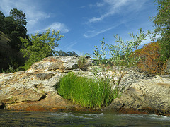 Chowchilla River (0137)