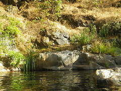 Chowchilla River (0151)