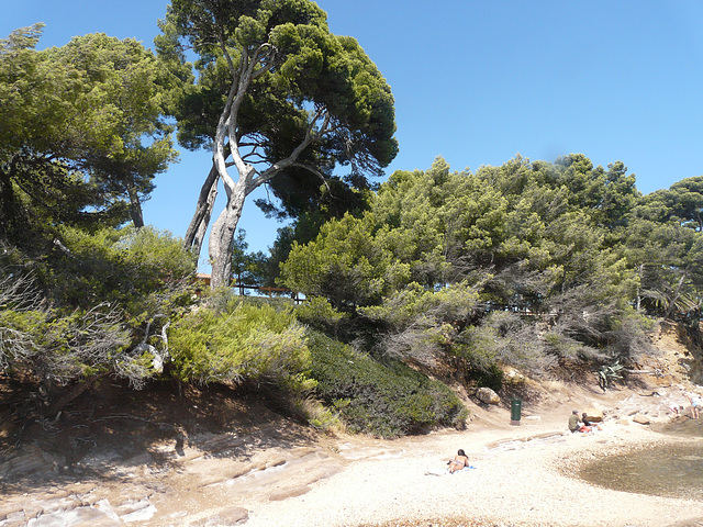 hyères dans le Var