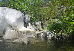 Chowchilla River (0175)