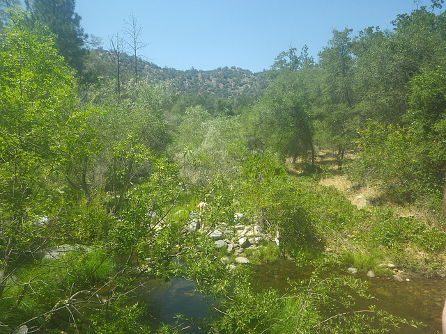 Chowchilla River (0213)